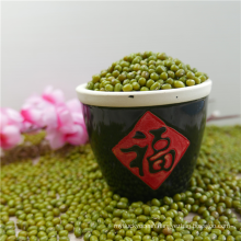 Chinese new crop Green Mung Beans